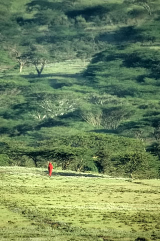 http://www.transafrika.org/media/Tansania/Massai in Savanne.jpg